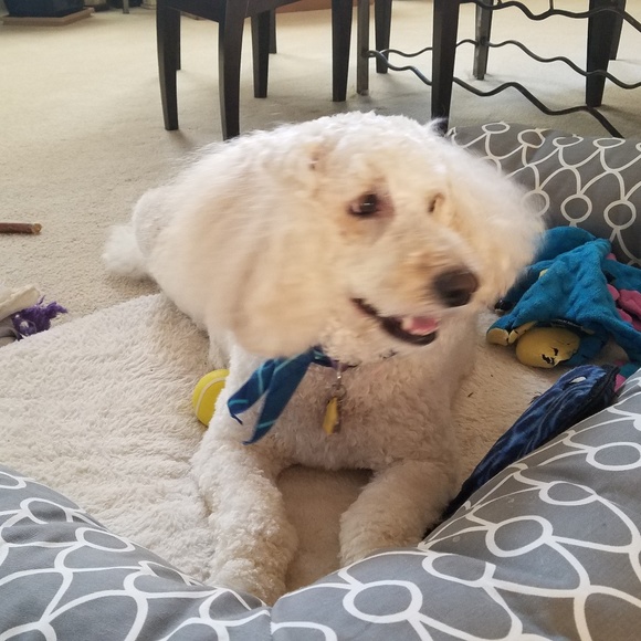 CHANCEY WOW!! 30LBS Weight Loss Time For A Trim❤❤ - Picture 5 of 7